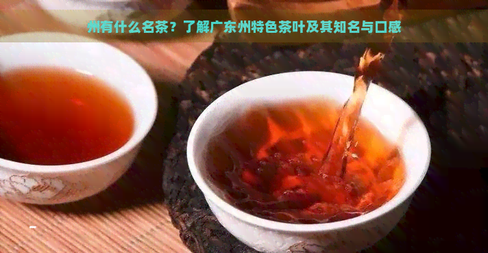 州有什么名茶？了解广东州特色茶叶及其知名与口感