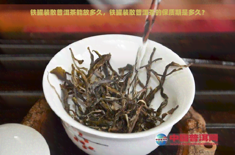 铁罐装散普洱茶能放多久，铁罐装散普洱茶的保质期是多久？