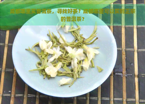 成都哪里买普洱茶，寻找好茶？成都哪里可以买到正宗的普洱茶？