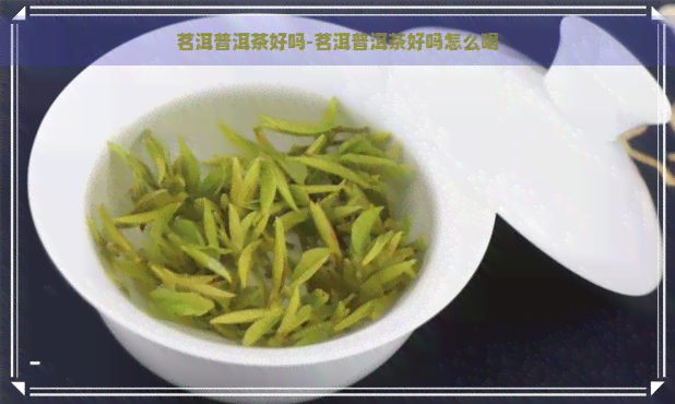 茗洱普洱茶好吗-茗洱普洱茶好吗怎么喝