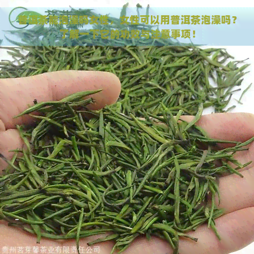 普洱茶能泡澡吗女性，女性可以用普洱茶泡澡吗？了解一下它的功效与注意事项！