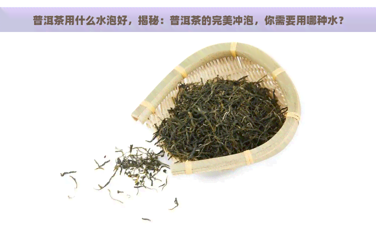 普洱茶用什么水泡好，揭秘：普洱茶的完美冲泡，你需要用哪种水？