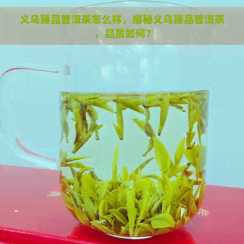 义乌臻品普洱茶怎么样，揭秘义乌臻品普洱茶，品质如何？