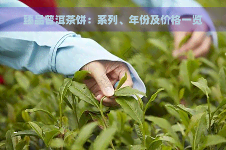 臻品普洱茶饼：系列、年份及价格一览