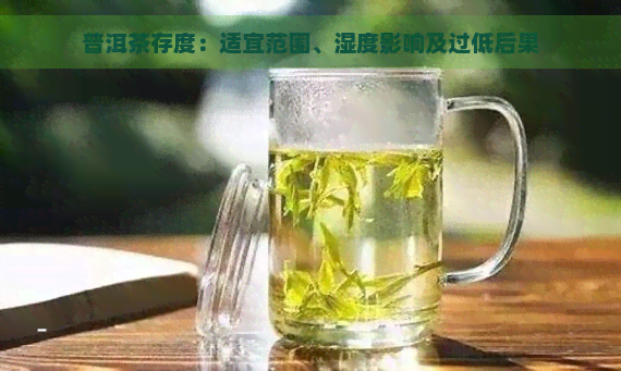 普洱茶存度：适宜范围、湿度影响及过低后果