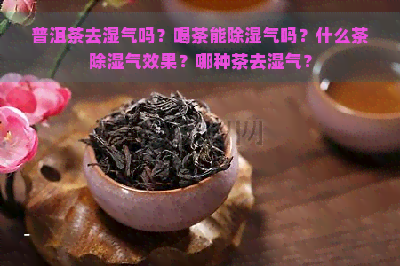 普洱茶去湿气吗？喝茶能除湿气吗？什么茶除湿气效果？哪种茶去湿气？