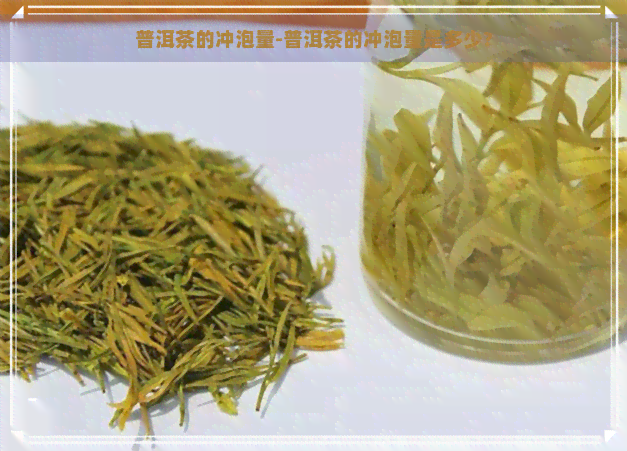 普洱茶的冲泡量-普洱茶的冲泡量是多少?