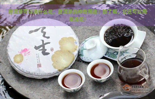 普洱茶可以浇什么花，普洱茶的神奇用途：除了喝，它还可以用来浇花！