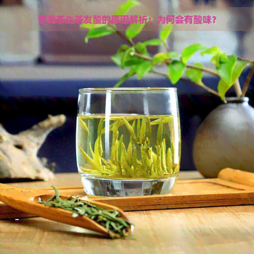 普洱茶生茶发酸的原因解析：为何会有酸味？