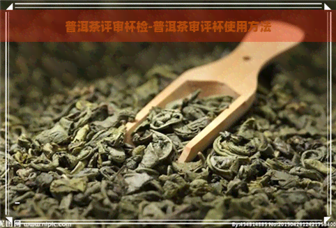 普洱茶评审杯检-普洱茶审评杯使用方法