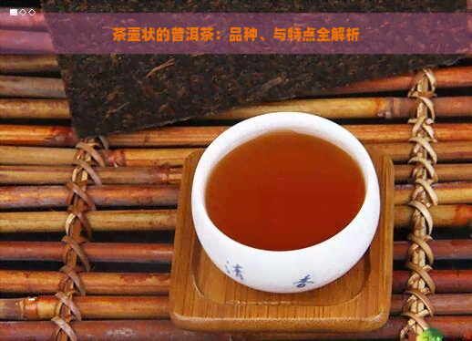 茶壶状的普洱茶：品种、与特点全解析