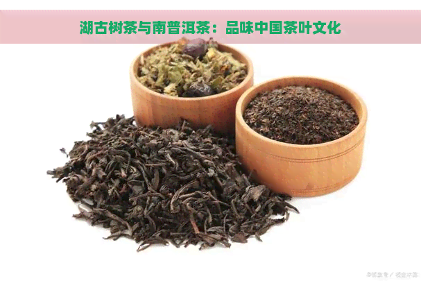 湖古树茶与南普洱茶：品味中国茶叶文化