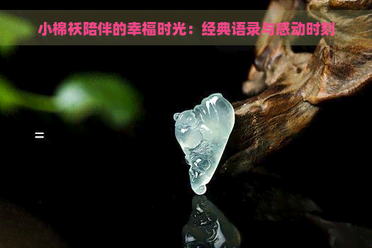 小棉袄陪伴的幸福时光：经典语录与感动时刻