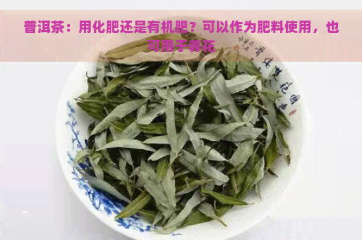 普洱茶：用化肥还是有机肥？可以作为肥料使用，也可用于养花