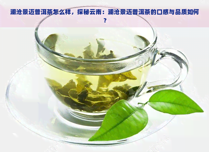 澜沧景迈普洱茶怎么样，探秘云南：澜沧景迈普洱茶的口感与品质如何？