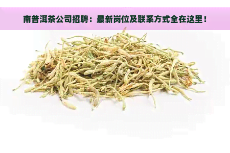 南普洱茶公司招聘：最新岗位及联系方式全在这里！