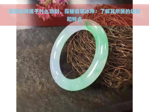 翡翠冰种属于什么级别，探秘翡翠冰种：了解其所属的级别和特点