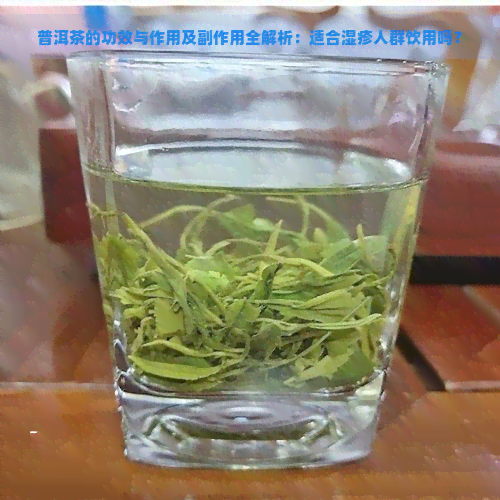 普洱茶的功效与作用及副作用全解析：适合湿疹人群饮用吗？