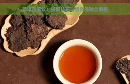 普洱茶混饮：搭配技巧与适宜品种全解析