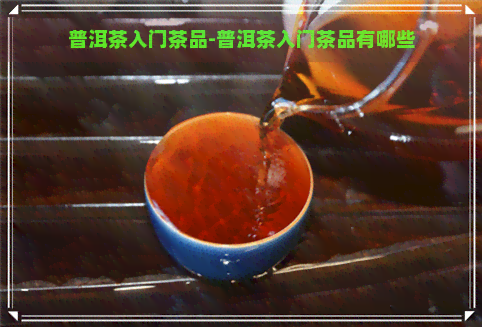 普洱茶入门茶品-普洱茶入门茶品有哪些