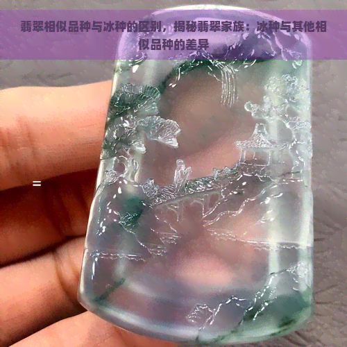 翡翠相似品种与冰种的区别，揭秘翡翠家族：冰种与其他相似品种的差异