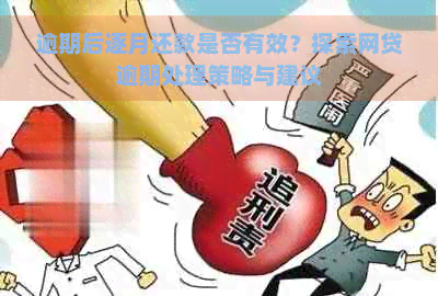 逾期后逐月还款是否有效？探索网贷逾期处理策略与建议