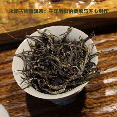 永德古树普洱茶：千年老树的传承与匠心制作