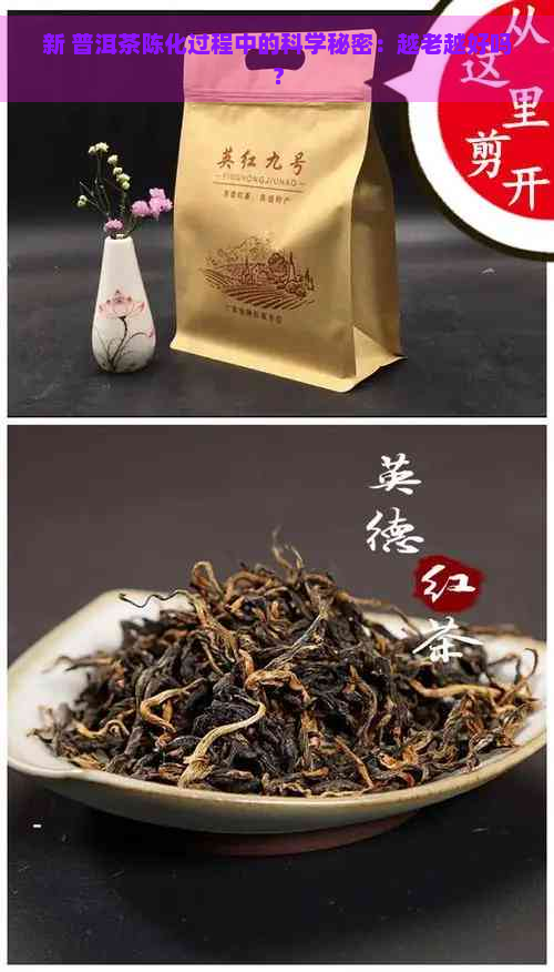 新 普洱茶陈化过程中的科学秘密：越老越好吗？