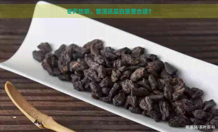 冬天饮茶，普洱还是白茶更合适？