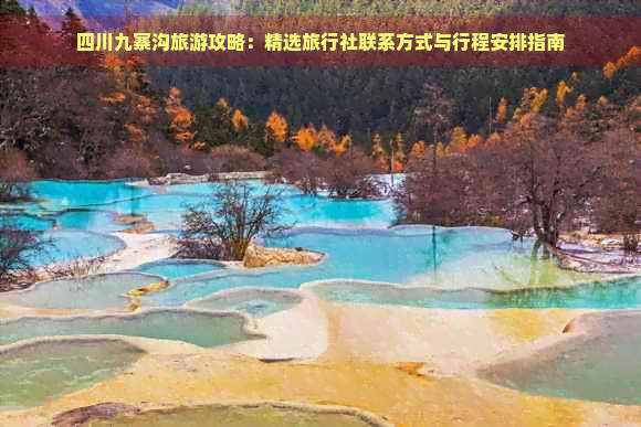 四川九寨沟旅游攻略：精选旅行社联系方式与行程安排指南