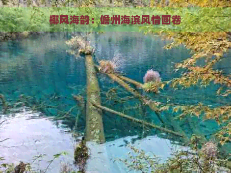 椰风海韵：儋州海滨风情画卷