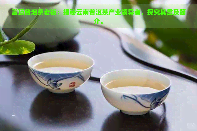 嵩顶普洱茶老板：揭秘云南普洱茶产业领导者，探究其贯及简介。