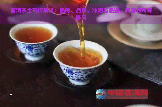 普洱茶全方位解析：品种、品质、冲泡与品鉴，解答您所有疑问