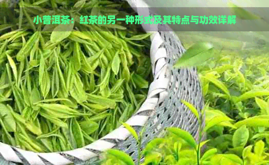 小普洱茶：红茶的另一种形式及其特点与功效详解