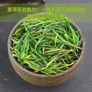 普洱茶的魅力：一本全面了解普洱茶文化与品鉴的好书