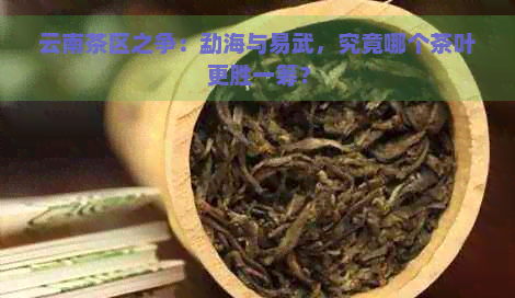 云南茶区之争：勐海与易武，究竟哪个茶叶更胜一筹？