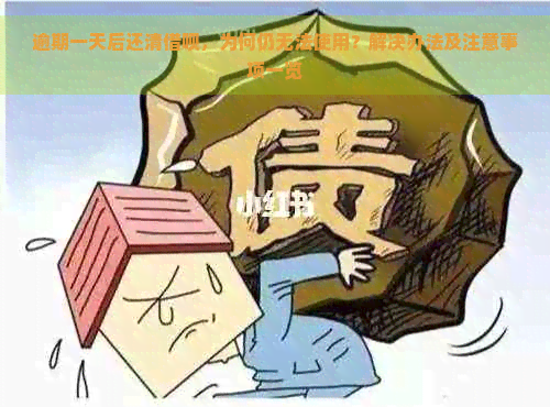 逾期一天后还清借呗，为何仍无法使用？解决办法及注意事项一览