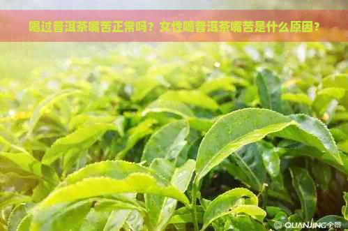 喝过普洱茶嘴苦正常吗？女性喝普洱茶嘴苦是什么原因？