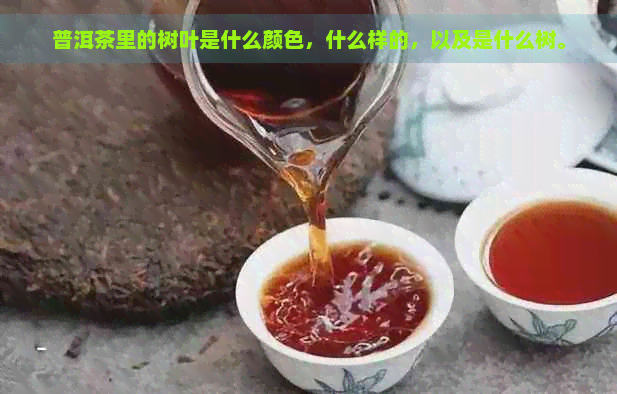 普洱茶里的树叶是什么颜色，什么样的，以及是什么树。