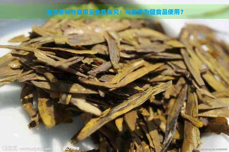 普洱茶树叶食用安全性探究：可否作为健食品使用？