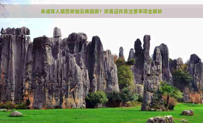 未成年人能否参加云南旅游？所需证件及注意事项全解析