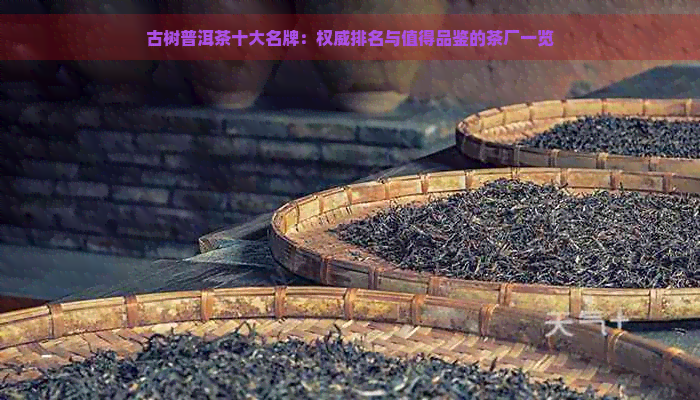 古树普洱茶十大名牌：权威排名与值得品鉴的茶厂一览