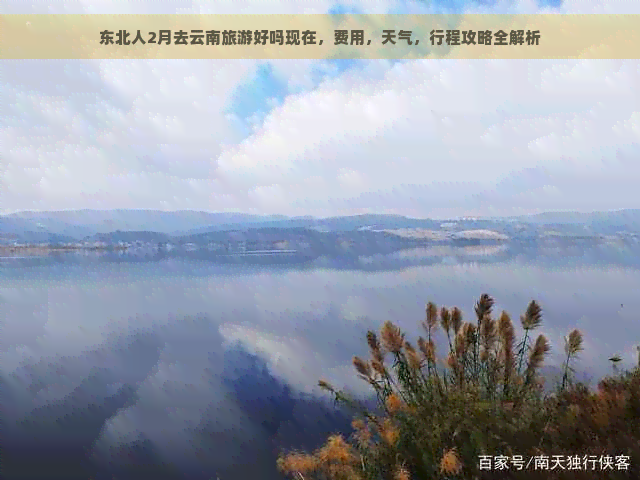 东北人2月去云南旅游好吗现在，费用，天气，行程攻略全解析