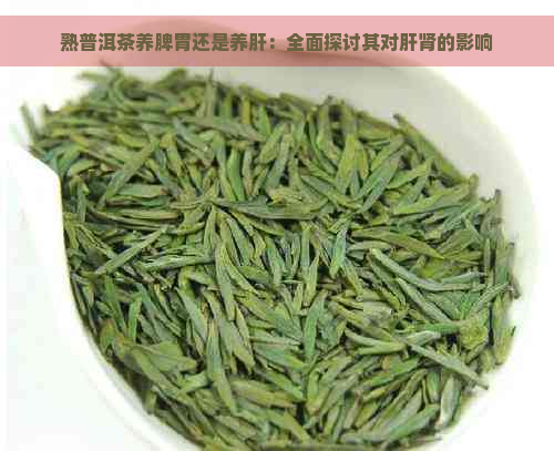 熟普洱茶养脾胃还是养肝：全面探讨其对肝肾的影响