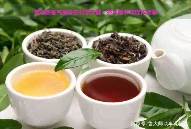 普洱茶香气提升的科学实践：技术细节与操作要领