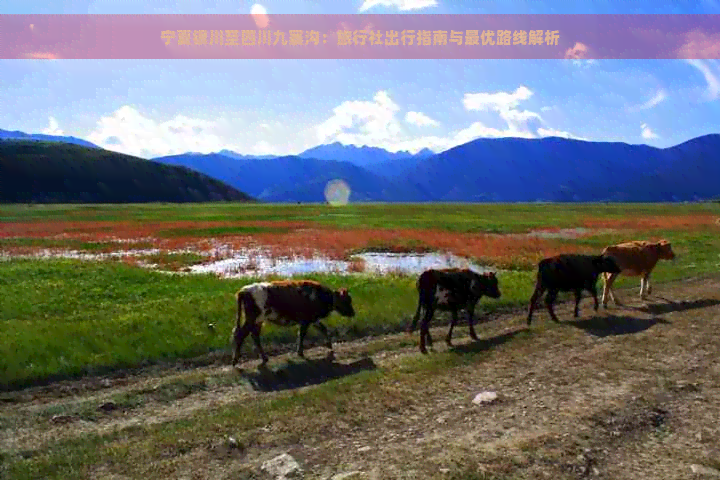 宁夏银川至四川九寨沟：旅行社出行指南与更优路线解析