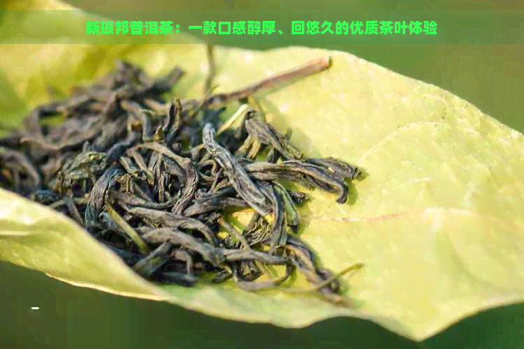 新琅邦普洱茶：一款口感醇厚、回悠久的优质茶叶体验