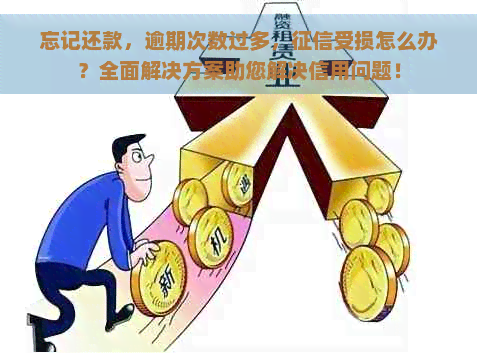 忘记还款，逾期次数过多，受损怎么办？全面解决方案助您解决信用问题！