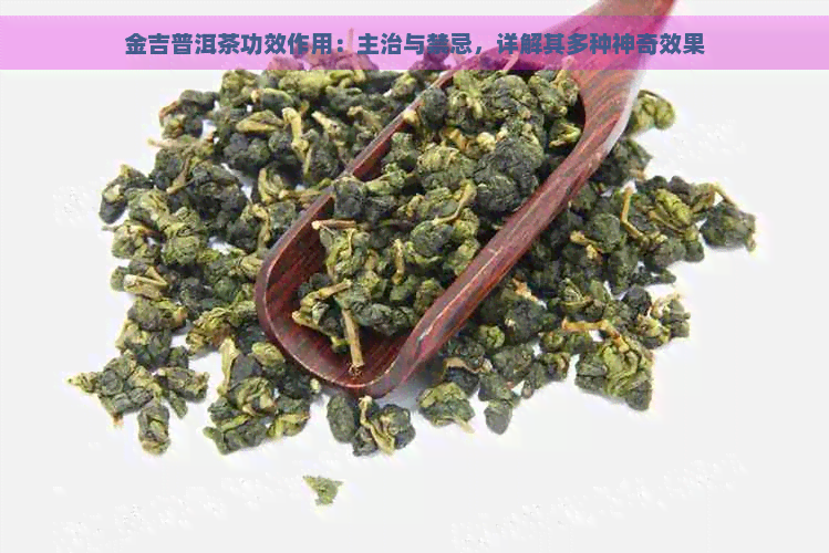 金吉普洱茶功效作用：主治与禁忌，详解其多种神奇效果