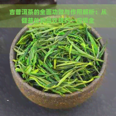 吉普洱茶的全面功效与作用解析：从健益处到品饮技巧一应俱全